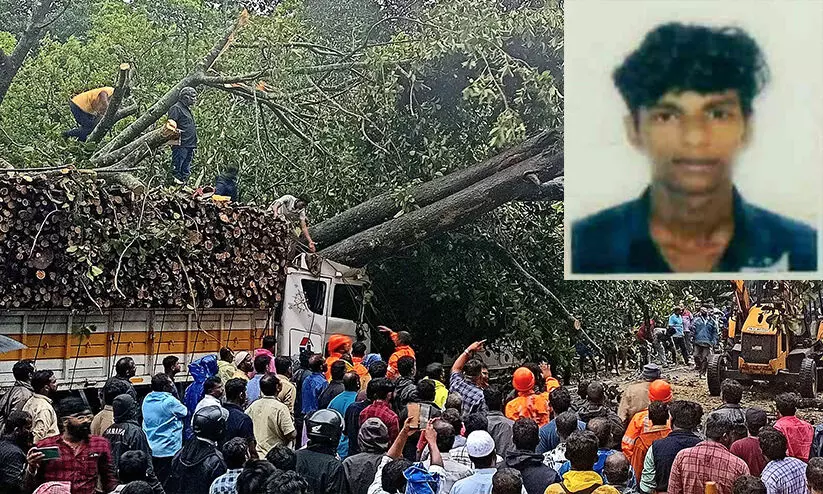 ലോറിക്ക് മുകളിൽ മരം വീണ് യുവാവിന് ദാരുണാന്ത്യം, രണ്ടുപേരെ രക്ഷപ്പെടുത്തി; അപകടം കുമളി ടൗണിനുസമീപം ലോറിക്ക് മുകളിൽ മരം വീണ് യുവാവിന് ദാരുണാന്ത്യം, രണ്ടുപേരെ രക്ഷപ്പെടുത്തി; അപകടം കുമളി ടൗണിനുസമീപം