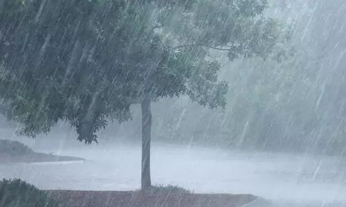 മ​ഴ​ക്കാ​ലം: ആ​ശ​ങ്ക​യി​ൽ ദേ​ശീ​യ​പാ​ത​യി​ലെ യാ​ത്ര; റോ​ഡ​രി​കി​ൽ വീ​ഴാ​വു​ന്ന രീ​തി​യി​ൽ നി​ര​വ​ധി മ​ര​ങ്ങ​ൾ