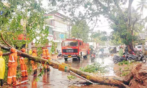കാ​റ്റും മ​ഴ​യും: കാ​ഞ്ഞി​ര​പ്പ​ള്ളി​യി​ൽ കെ.​എ​സ്.​ഇ.​ബി​ക്ക്​ 30 ല​ക്ഷ​ത്തി​ന്‍റെ ന​ഷ്ടം