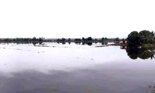 വൈ​ദ്യു​തി മു​ട​ക്കം; 125 ഏ​ക്ക​റി​ലെ നെ​ൽ കൃ​ഷി നാ​ശ​ത്തി​ലേ​ക്ക്