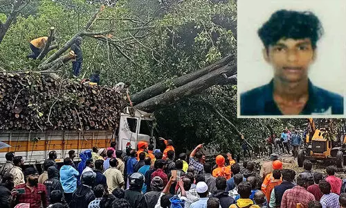 ലോറിക്ക് മുകളിൽ മരം വീണ് യുവാവിന് ദാരുണാന്ത്യം, രണ്ടുപേരെ രക്ഷപ്പെടുത്തി; അപകടം കുമളി ടൗണിനുസമീപം