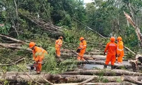 റാന്നിയിൽ മിന്നൽ ചുഴലിക്കാറ്റ്; ബൈപാസിൽ ഗതാഗത തടസം