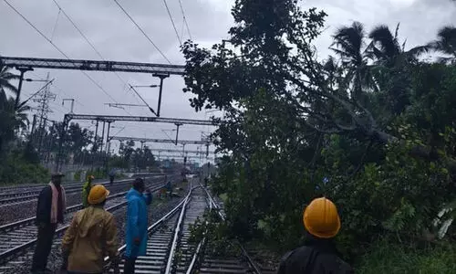 കടയ്ക്കാവൂരിൽ റെയിൽവേ ലൈനിൽ മരക്കൊമ്പ് വീണു; ട്രെയിനുകൾ വൈകുന്നു