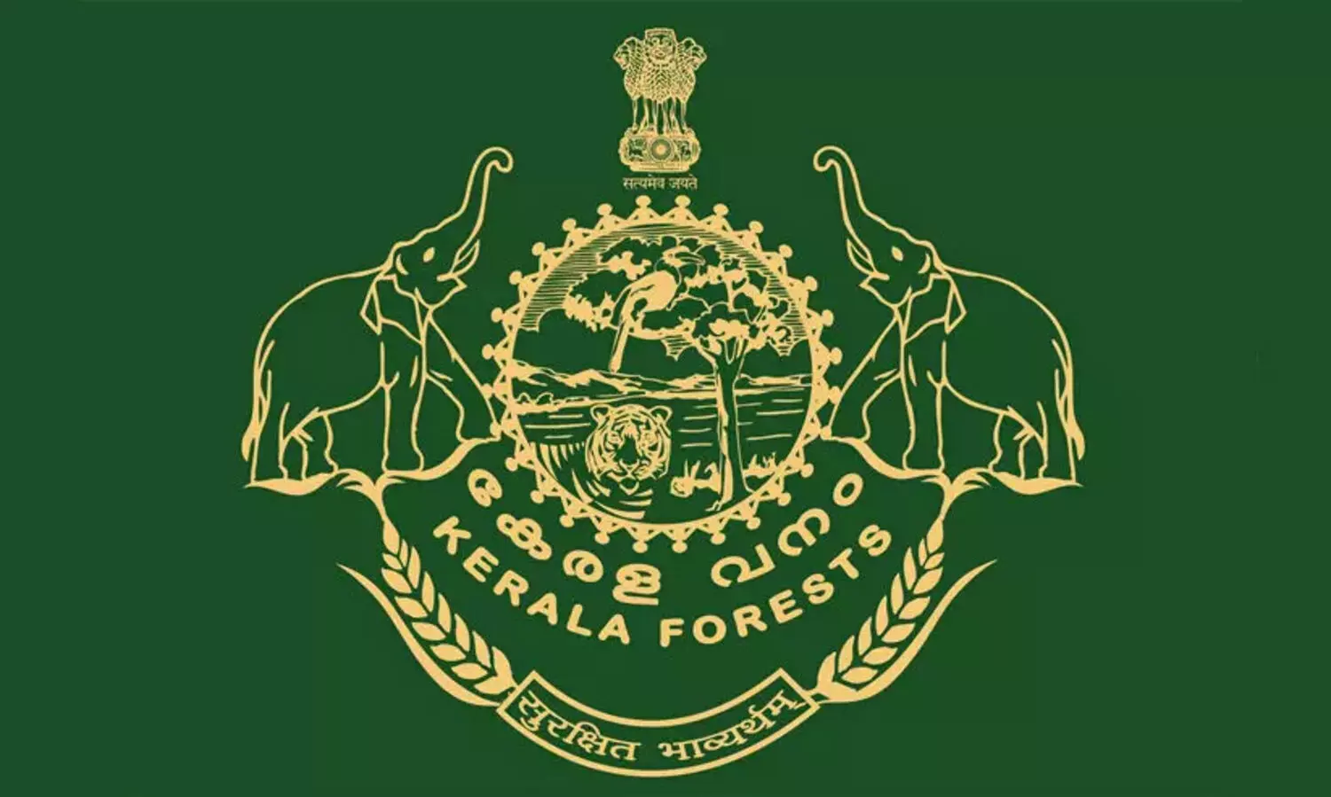 കു​രി​ശ്​ സ്ഥാ​പി​ച്ച സം​ഭ​വം; രൂ​പ​ത വി​കാ​രി ജ​ന​റാ​ൾ അ​ട​ക്ക​മു​ള്ള​വ​ർ​ക്ക്​ വ​നം വ​കു​പ്പ്​ നോ​ട്ടീ​സ്​