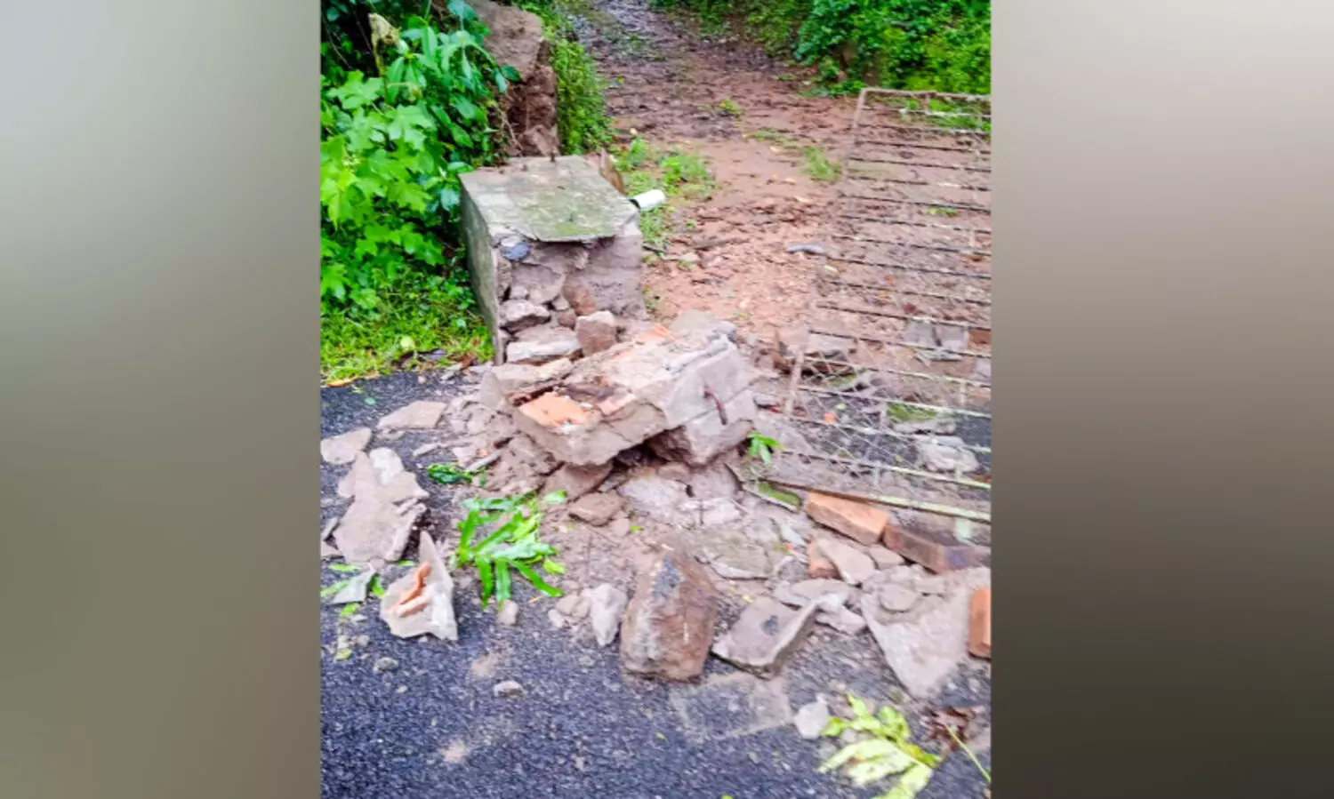 കല്ലേലിയിൽ കാട്ടാന വീടിന്‍റെ ഗേറ്റ് തകർത്തു