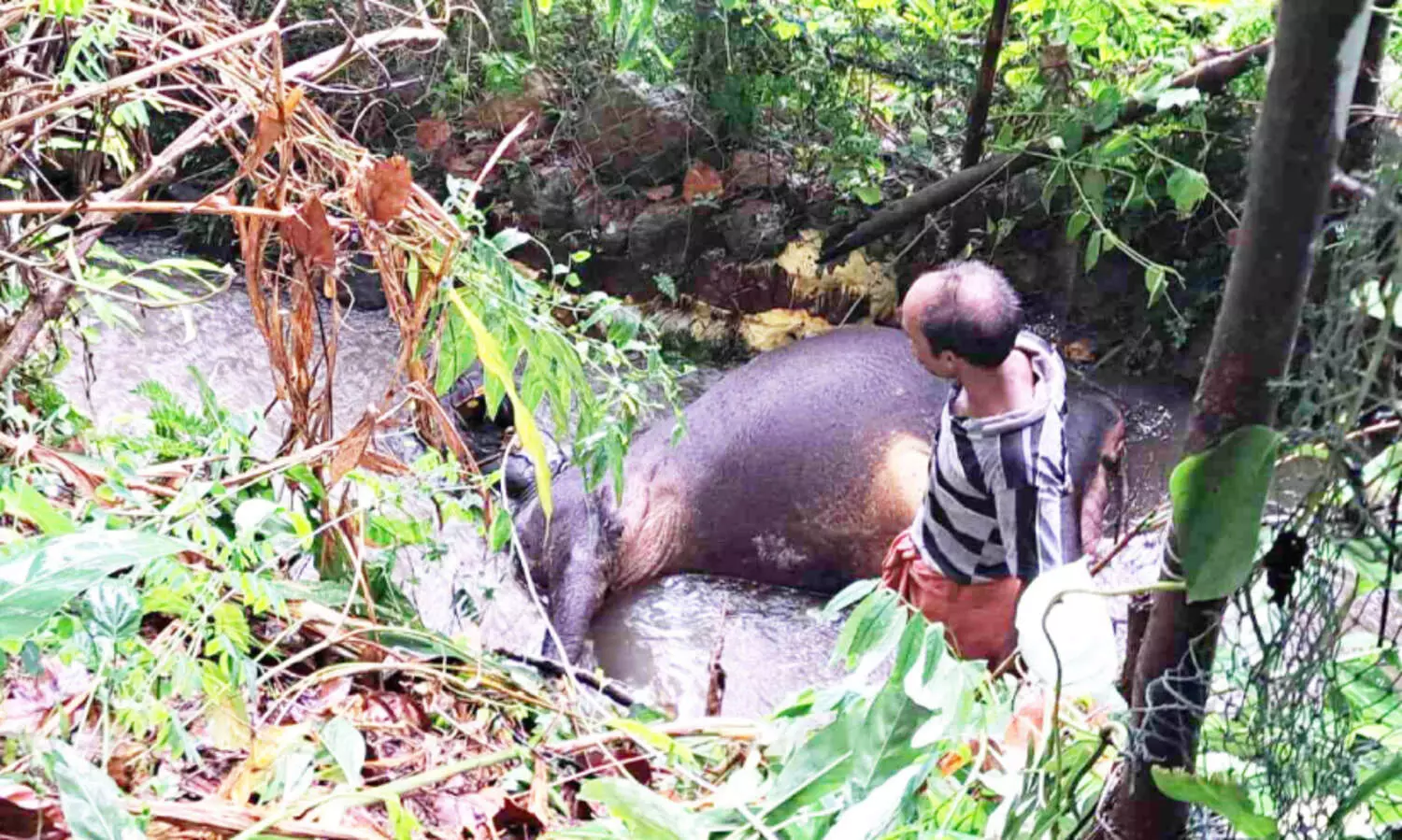 മഴ: കിഴക്കൻ മേഖലയിൽ വ്യാപക നാശം