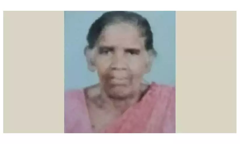 മരം വീണ് തൊഴിലുറപ്പ് തൊഴിലാളി മരിച്ചു