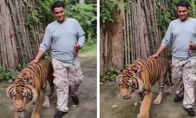 തായ് ലൻറിൽ സെൽഫി എടുക്കുന്നതിനിടെ ഇന്ത്യൻ വിനോദസഞ്ചാരിയെ ആക്രമിച്ച് കടുവ തായ് ലൻറിൽ സെൽഫി എടുക്കുന്നതിനിടെ ഇന്ത്യൻ വിനോദസഞ്ചാരിയെ ആക്രമിച്ച് കടുവ