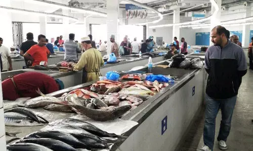 ചൂ​ട് വ​ർ​ധി​ച്ചു; മ​ത്സ്യല​ഭ്യ​ത കു​റ​ഞ്ഞു