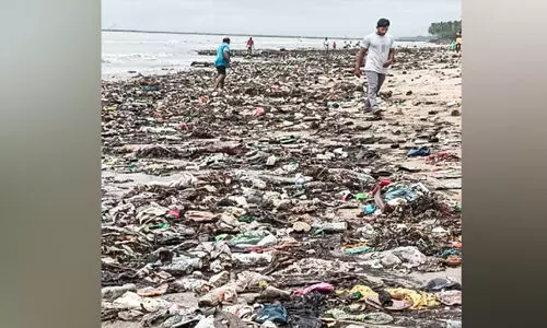 ക​ട​ലോ​ര​ത്ത് മാ​ലി​ന്യ കൂ​മ്പാ​രം; രോ​ഗ​ഭീ​തി​യി​ൽ നാ​ട്ടു​കാ​ർ