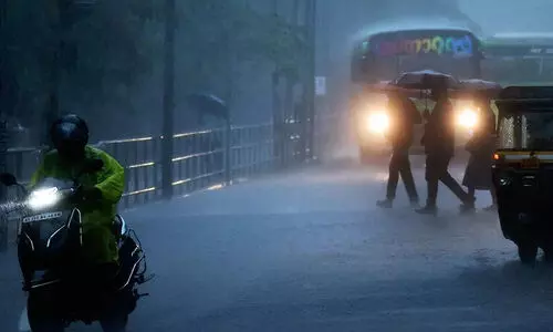 മ​ഴ ക​ന​ത്തു; കൂ​ടു​ത​ൽ നാ​ശം മാ​ന​ന്ത​വാ​ടി താ​ലൂ​ക്കി​ൽ