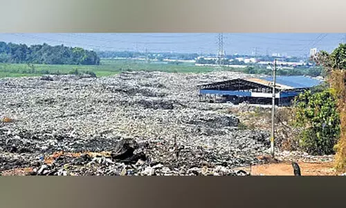 മാ​ലി​ന്യ​മു​ക്ത ന​വ​കേ​ര​ളം പ​ദ്ധ​തി; രണ്ടുമാസത്തിനുള്ളിൽ കൊച്ചി മാലിന്യമുക്തമാകും