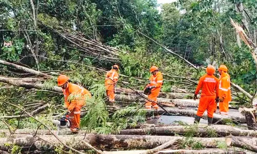 പത്തനംതിട്ടയിൽ കനത്തമഴ; വ്യാപക നാശനഷ്ടം