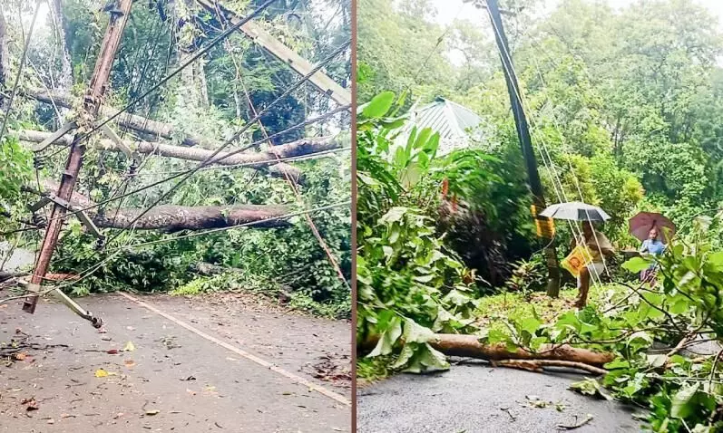 കനത്ത മഴക്കൊപ്പം അസാധാരണ കാറ്റും;   ജില്ലയിൽ കെ.എസ്.ഇ.ബിക്ക് 7.9 കോടിയുടെ നഷ്ടം