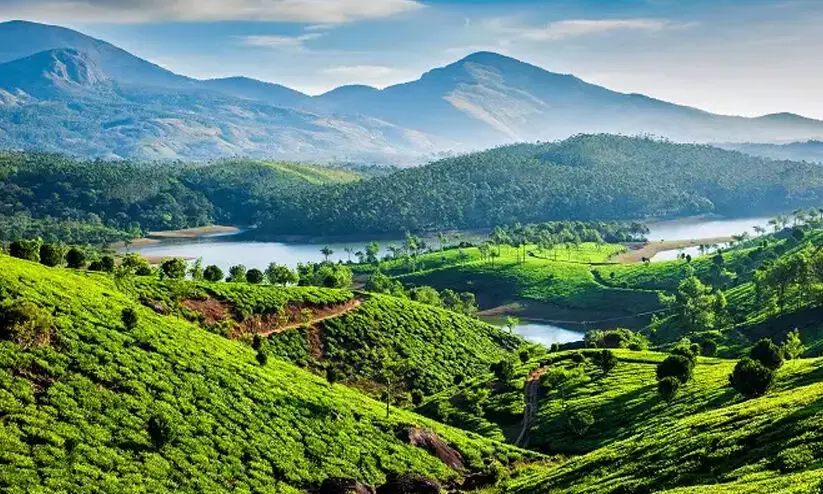 നഗരസഭ വാർഡ്​ വിഭജനം; ജില്ലയിൽ വർധിച്ചത്​ മൂന്ന്​ വാർഡ്