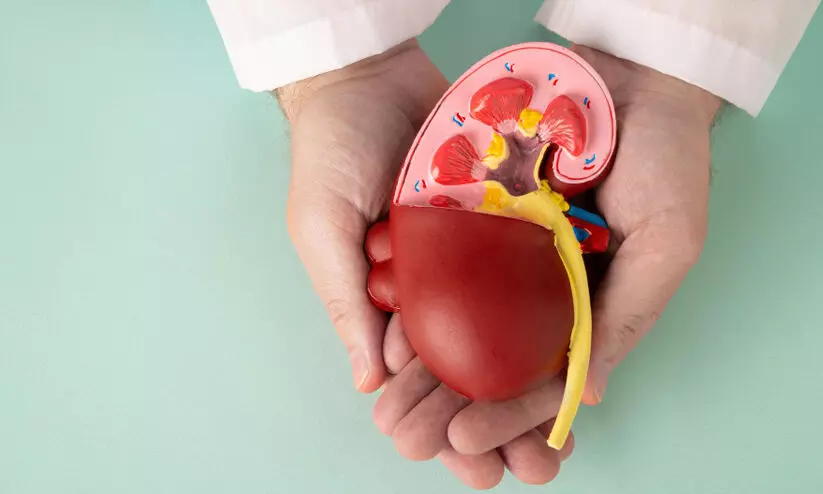 ഈ ആറു പഴങ്ങൾ കഴിക്കൂ; കരളിനെയും വൃക്കയെയും വിഷമുക്തമാക്കാം