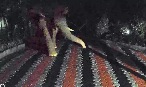 മഴ, കാറ്റ്​, മണ്ണിടിച്ചിൽ, കാട്ടാന; ഭീതിയിൽ ആദിവാസി ഗ്രാമങ്ങൾ