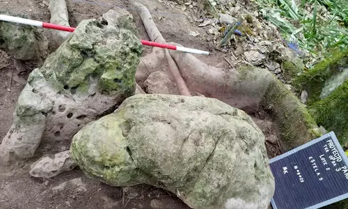 ഗ്വാട്ടിമാലയിൽ 3,000 വർഷം പഴക്കമുള്ള മായൻ നഗരത്തിന്റെ അവശിഷ്ടങ്ങൾ കണ്ടെത്തി