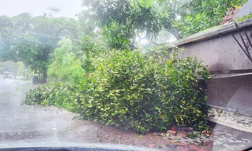 മഴയും കാറ്റും: കരുനാഗപ്പള്ളിയിൽ 43 വീടുകളും സ്‌കൂളും തകർന്നു