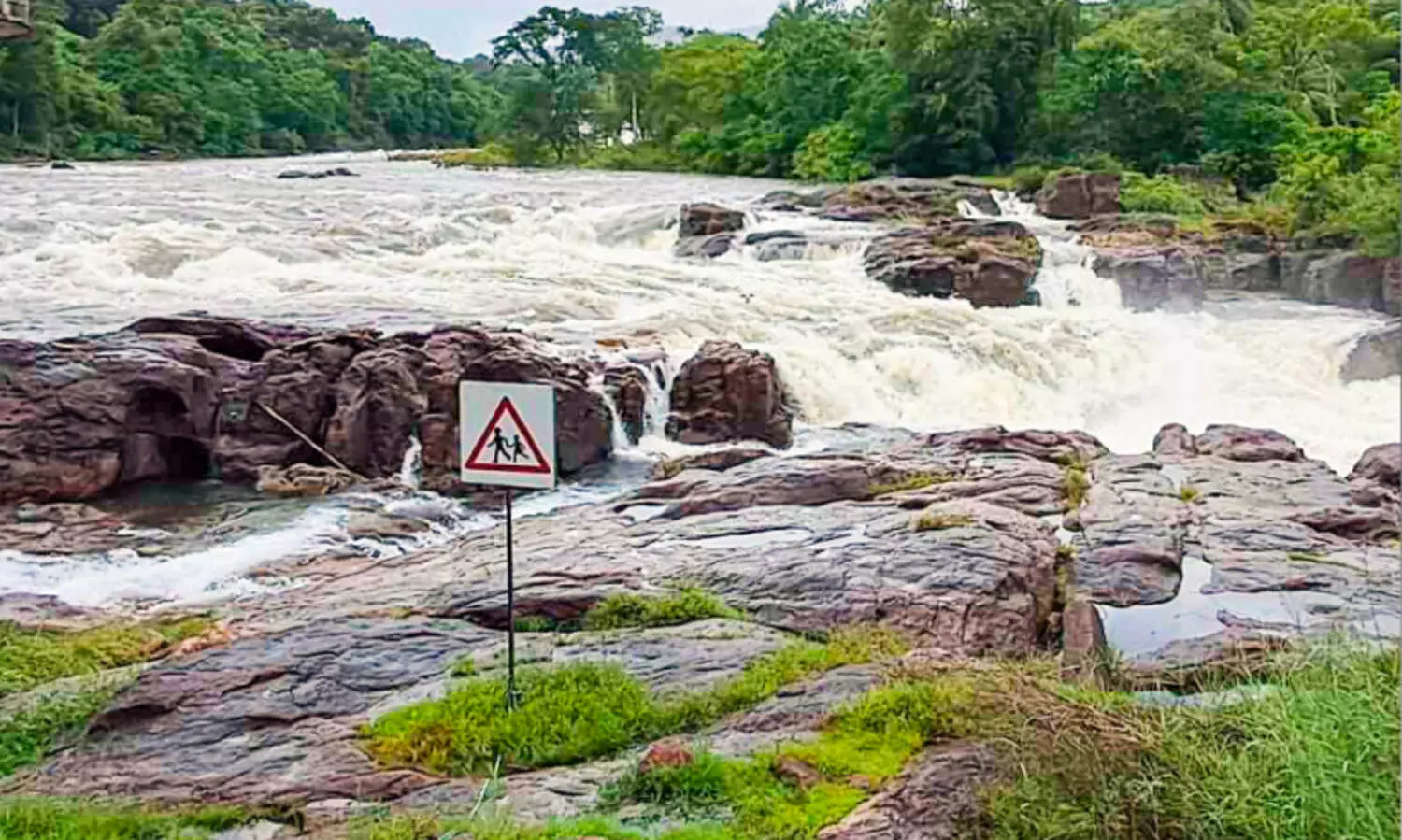 പെരുന്തേനരുവിയിൽ ഗ്ലാസ്​ നടപ്പാലം വരുന്നു; ഏ​ഴ്​ കോ​ടി അ​നു​വ​ദി​ച്ചു