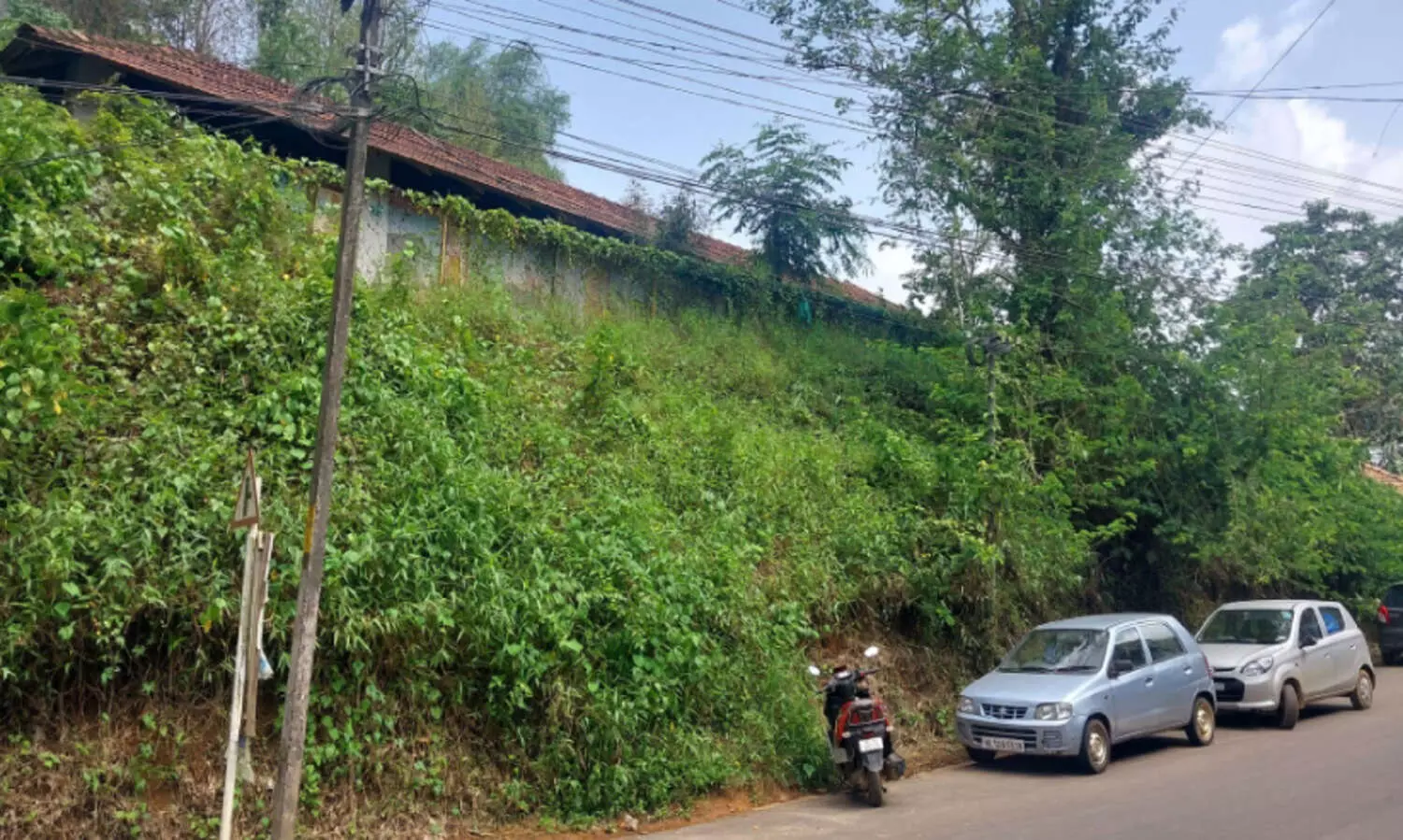 സ്കൂൾ തുറക്കൽ ഇങ്ങരികെയെത്തി; കാടു മൂടി വിദ്യാലയ പരിസരങ്ങൾ; നടപടിയെടുക്കാതെ അധികൃതർ