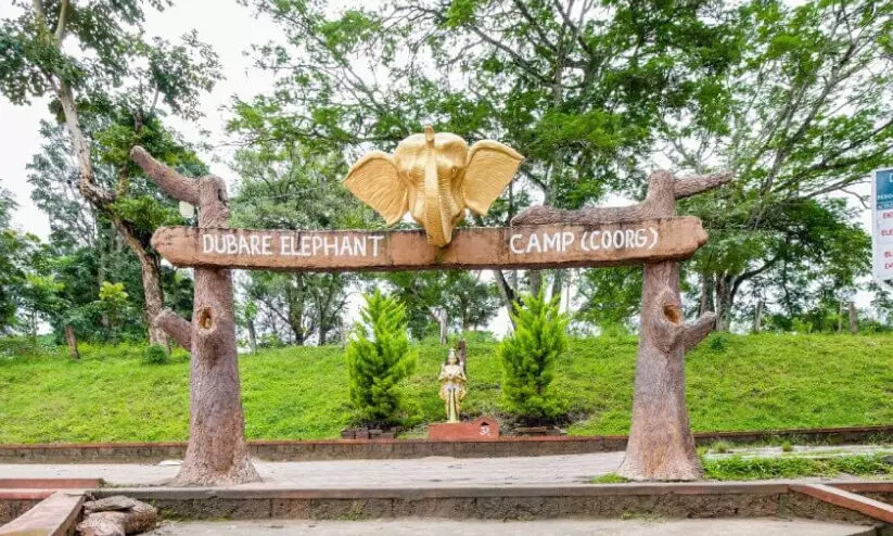 ദുബാരെ ആന ക്യാമ്പിൽ വിനോദസഞ്ചാരികൾക്ക് വിലക്ക് ദുബാരെ ആന ക്യാമ്പിൽ വിനോദസഞ്ചാരികൾക്ക് വിലക്ക്