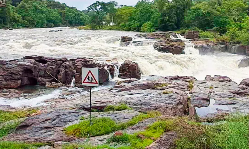 പെരുന്തേനരുവിയിൽ ഗ്ലാസ്​ നടപ്പാലം വരുന്നു; ഏ​ഴ്​ കോ​ടി അ​നു​വ​ദി​ച്ചു