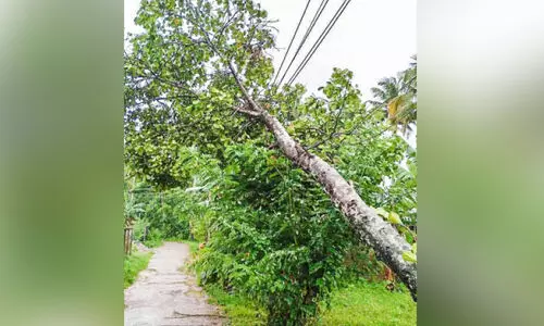 മഴയും കാറ്റും: കെ.എസ്.ഇ.ബിക്ക് ലക്ഷങ്ങളുടെ നഷ്ടം; ഊണും ഉറക്കവുമില്ലാതെ ജോലി ചെയ്ത് ജീവനക്കാർ മഴയും കാറ്റും: കെ.എസ്.ഇ.ബിക്ക് ലക്ഷങ്ങളുടെ നഷ്ടം; ഊണും ഉറക്കവുമില്ലാതെ ജോലി ചെയ്ത് ജീവനക്കാർ