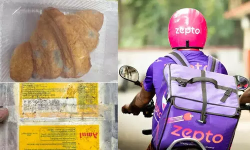 കാലാവധി കഴിഞ്ഞ ഭക്ഷണസാധനങ്ങൾ,പാക്കറ്റുകളിൽ ഫംഗസ്; സെപ്‌റ്റോ വെയർഹൗസ് ലൈസൻസ് റദ്ദാക്കി