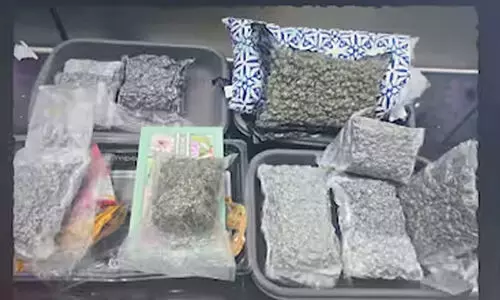 ബാങ്കോക്കിൽ നിന്ന് ടൂർ കഴിഞ്ഞ് മടങ്ങവേ കൊണ്ടുവന്നത് 10 കോടിയുടെ ഹൈബ്രിഡ് കഞ്ചാവ്; തിരുവനന്തപുരം വിമാനത്താവളത്തിൽ രണ്ടു വിദ്യാർഥികൾ പിടിയിൽ