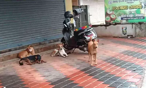 വി​ദ്യാ​ർ​ഥി​ക​ൾ​ക്ക് ഭീ​ഷ​ണി​യാ​യി തെ​രു​വുനാ​യ്ക്ക​ൾ