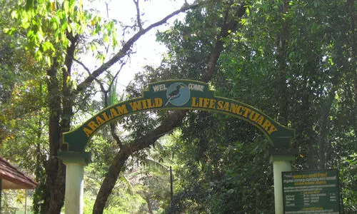 ആറളം ഫാമിൽ ആനമതിൽ നിർമാണ കരാർ റദ്ദാക്കി