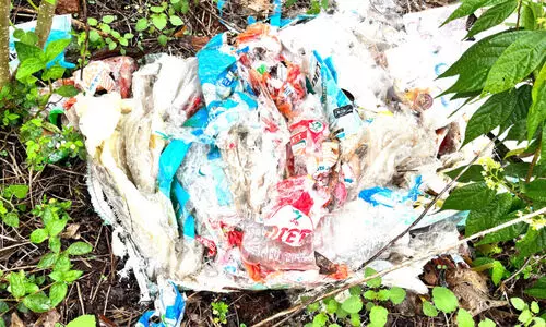 അശാസ്ത്രീയ മാലിന്യ സംസ്കരണം; മൂന്ന് സ്ഥാപനങ്ങൾക്ക് 13,000 രൂപ പിഴ