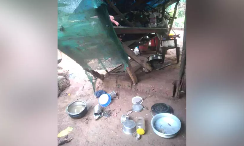 ആറളം ഫാമിൽ വീണ്ടും കാട്ടാനക്കലി് ആറളം ഫാമിൽ വീണ്ടും കാട്ടാനക്കലി്