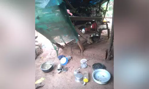 ആറളം ഫാമിൽ വീണ്ടും കാട്ടാനക്കലി്