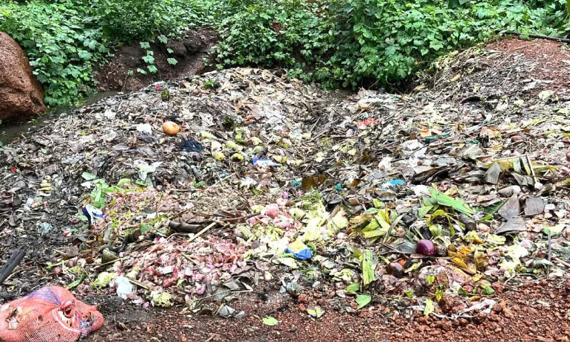 അശാസ്ത്രീയ മാലിന്യ സംസ്ക്കരണം; പന്നിഫാമിനും ക്രഷറിനും 20,000 പിഴ അശാസ്ത്രീയ മാലിന്യ സംസ്ക്കരണം; പന്നിഫാമിനും ക്രഷറിനും 20,000 പിഴ