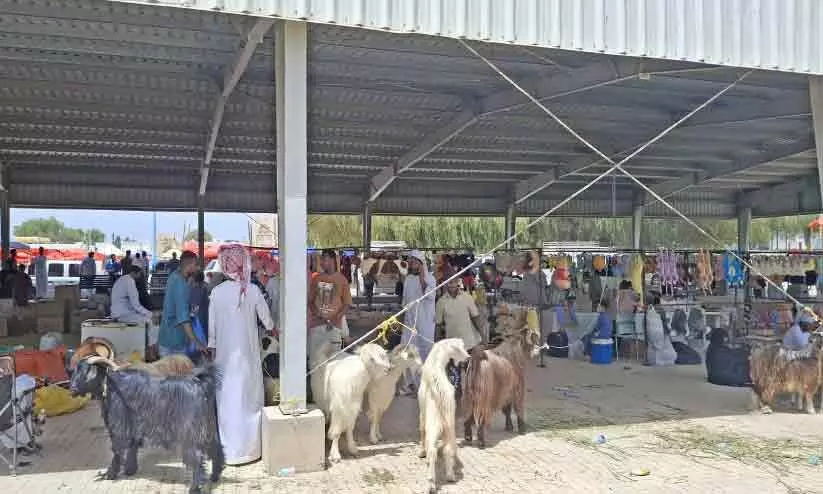 പെ​രു​ന്നാ​ൾ തി​ര​ക്കി​ൽ ക​ന്നു​കാ​ലിച്ചന്ത​ക​ള്‍