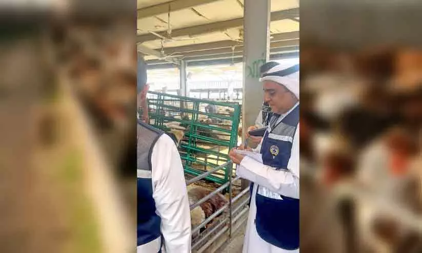 ക​ന്നു​കാ​ലിച്ചന്ത​ക​ളി​ൽ പ​രി​ശോ​ധ​ന ശ​ക്ത​മാ​ക്കി വാ​ണി​ജ്യ-വ്യ​വ​സാ​യ മ​ന്ത്രാ​ല​യം