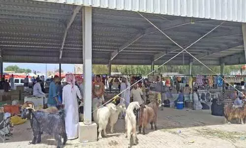 പെ​രു​ന്നാ​ൾ തി​ര​ക്കി​ൽ ക​ന്നു​കാ​ലിച്ചന്ത​ക​ള്‍