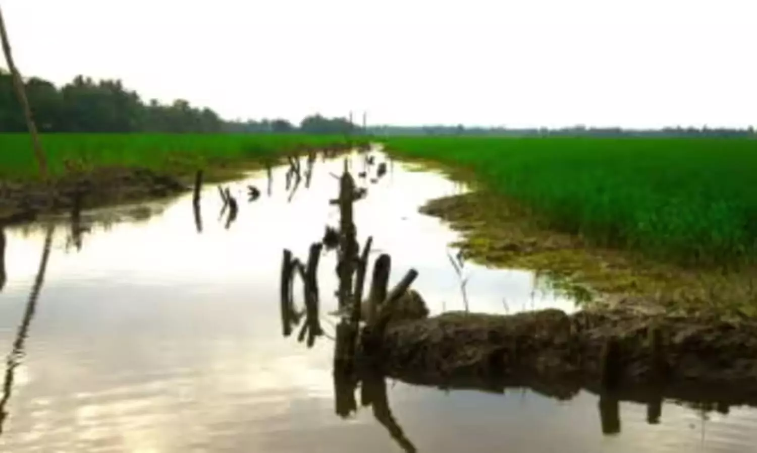 മഴ ശക്തി പ്രാപിച്ചു; കുട്ടനാട്ടിൽ രണ്ടാംകൃഷി ആശങ്കയിൽ; മ​ട​വീ​ഴ്ച​യി​ൽ നി​ര​വ​ധി പാ​ട​ശേ​ഖ​ര​ങ്ങ​ൾ വെ​ള്ള​ത്തി​ൽ