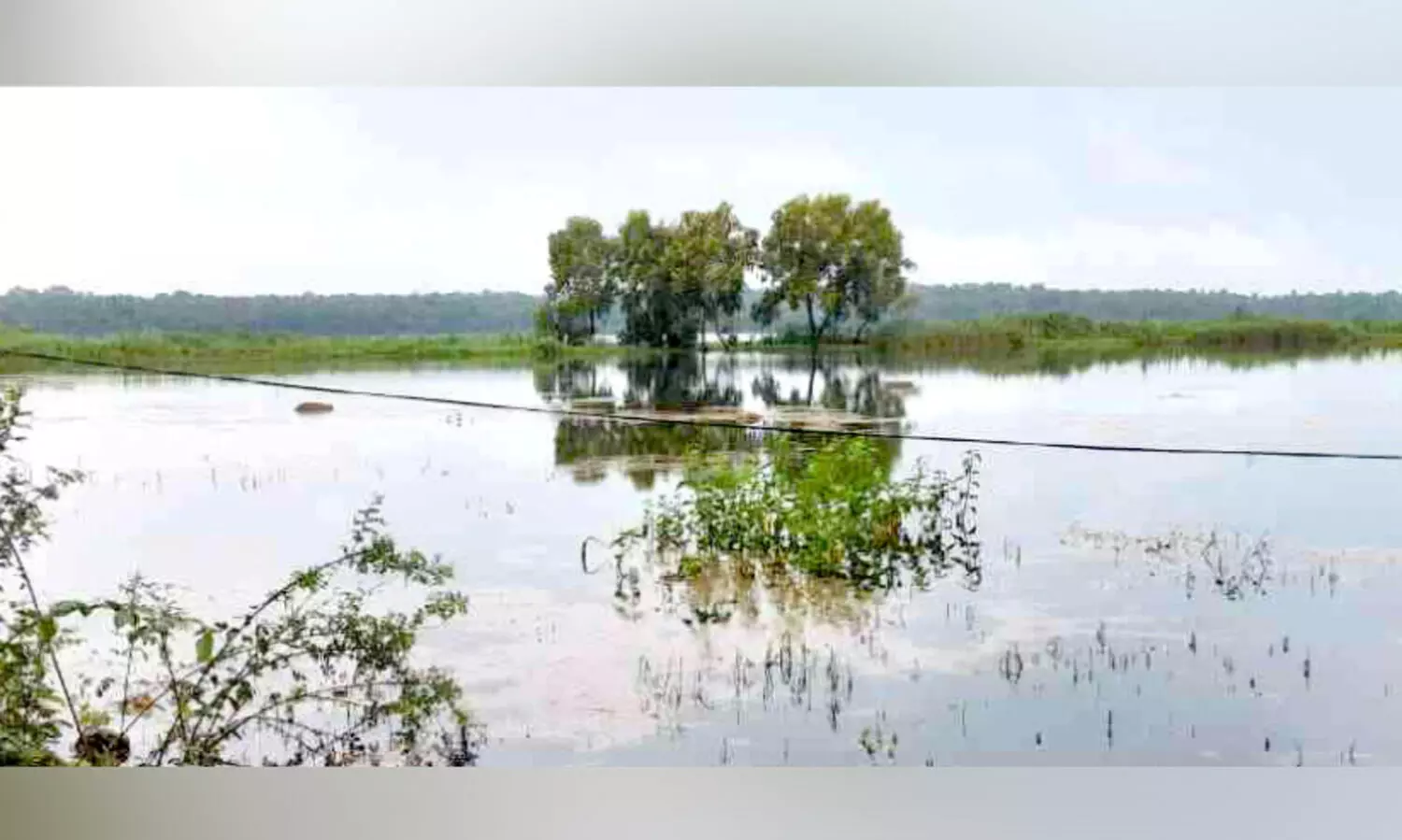 കോൾപ്പാടങ്ങളിൽ ഒളിച്ചിരിക്കുന്ന മരണക്കയങ്ങൾ; ഉ​ല്ല​സി​ക്കാ​നെ​ത്തു​ന്ന​വ​ർ ജാ​ഗ്ര​ത പാ​ലി​​ച്ചി​ല്ലെ​ങ്കി​ൽ കാ​ത്തി​രി​ക്കു​ന്ന​ത് മ​ര​ണം
