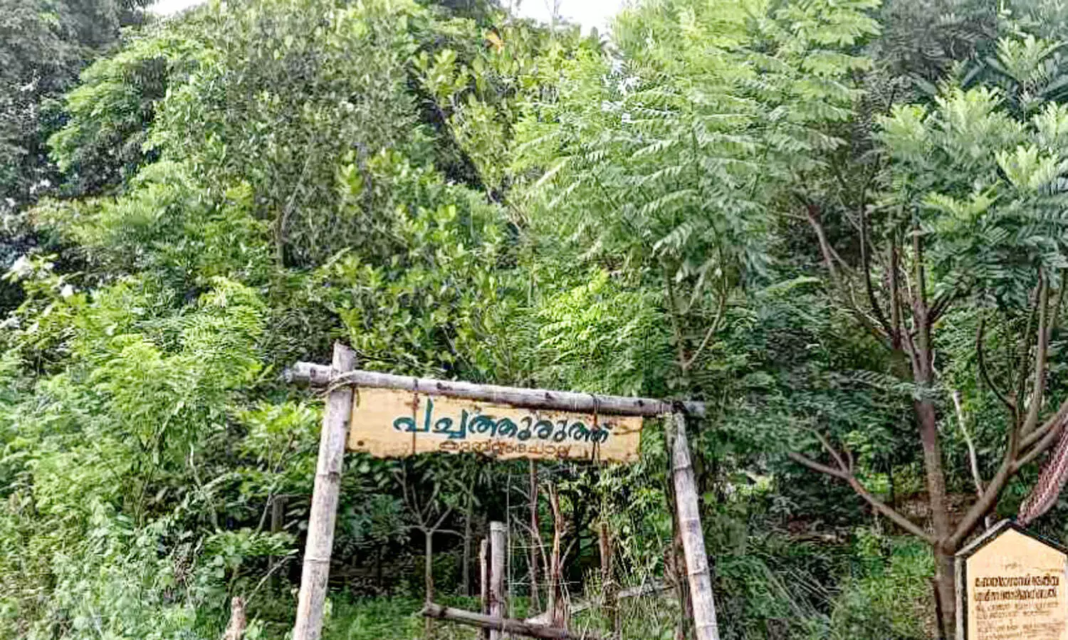 പ​രി​സ്ഥി​തി സം​രക്ഷ​ണ​ത്തി​ന് കു​മ്പ​ളം ചോ​ല വ​ഴി​കാ​ട്ടു​ക​യാ​ണ്