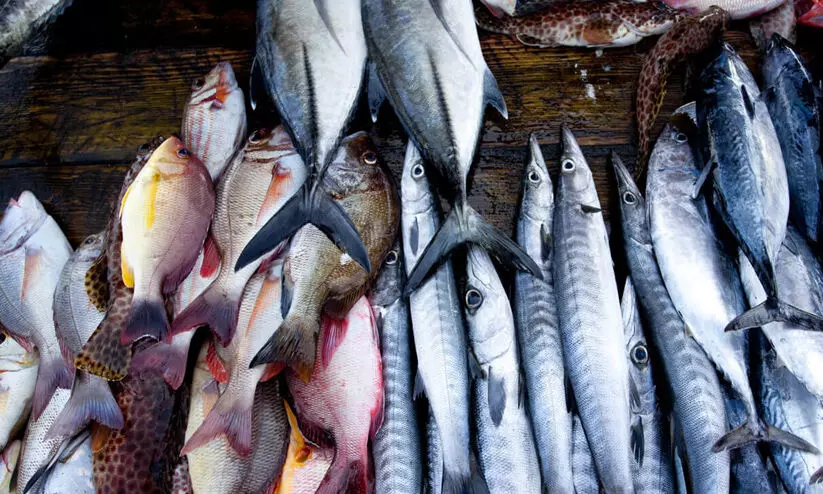 രാസമാലിന്യ ഭീതിയിൽ മൽസ്യ വിൽപന ഇടിഞ്ഞു; ഇറച്ചിവില പൊള്ളുന്നു രാസമാലിന്യ ഭീതിയിൽ മൽസ്യ വിൽപന ഇടിഞ്ഞു; ഇറച്ചിവില പൊള്ളുന്നു