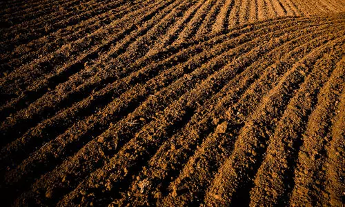 Soil choosing for Farming