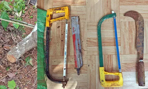 മ​ന്ത​ര​ത്തൂ​രി​ൽ ച​ന്ദ​ന​മ​രം മു​റി​ച്ച് ക​ട​ത്തി