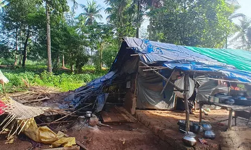 ആറളത്ത് കാട്ടാന കുടില്‍ തകര്‍ത്തു; ഗര്‍ഭിണി ഉള്‍പ്പെടെ മൂന്നുപേര്‍ക്ക് പരിക്ക്