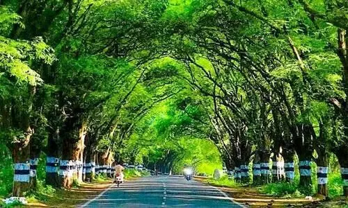 ഈ മനോഹര കാഴ്ച നിലനിന്നത് നാടിന്റെ ഇടപെടലിൽ