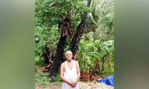 കരിമ്പനയുടെ കൂട്ടുകാരൻ നവതിയുടെ നിറവിൽ; നാരായണൻ ഇതുവരെ നട്ടു വളർത്തിയത് 900 ഓളം കരിമ്പനകൾ കരിമ്പനയുടെ കൂട്ടുകാരൻ നവതിയുടെ നിറവിൽ; നാരായണൻ ഇതുവരെ നട്ടു വളർത്തിയത് 900 ഓളം കരിമ്പനകൾ