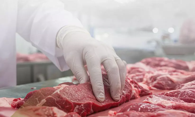 ഭക്ഷ്യ സുരക്ഷ: പരിശോധനയുമായി അധികൃതർ ഭക്ഷ്യ സുരക്ഷ: പരിശോധനയുമായി അധികൃതർ