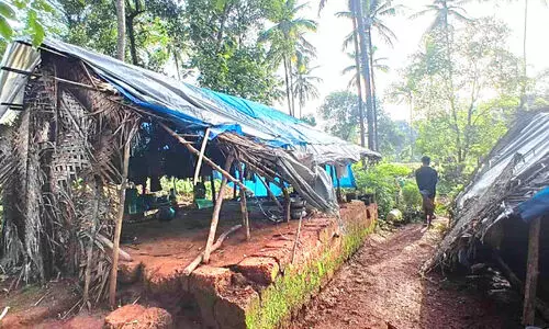 കാട്ടാനക്കലിയിൽ ആറളം; ഷെഡുകൾ തകർത്തു, മൂന്നുപേർക്ക് പരിക്ക്